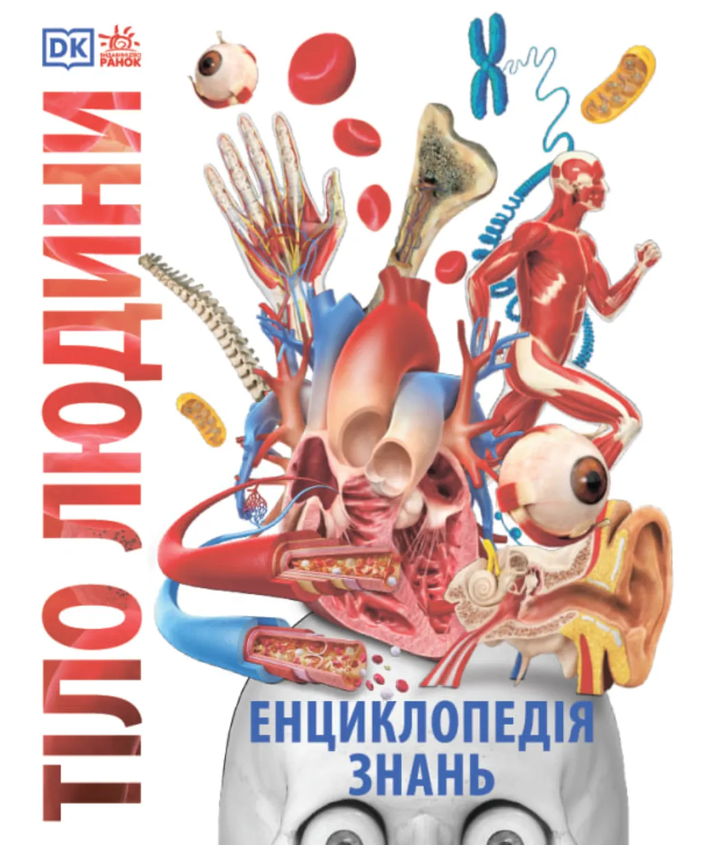 Книга "Энциклопедии DK: Энциклопедия знаний. Тело человека" (у) (3956)