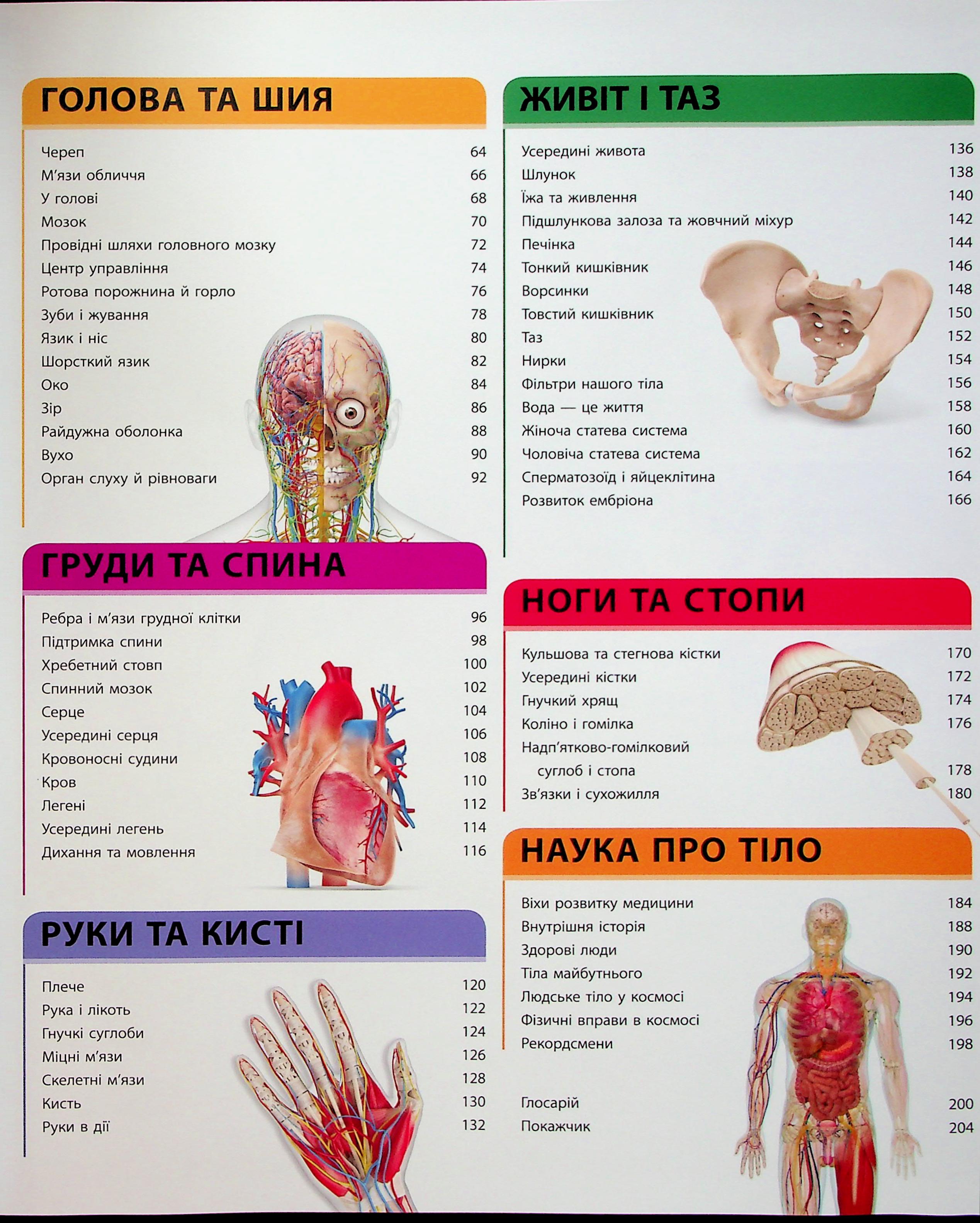 Книга "Энциклопедии DK: Энциклопедия знаний. Тело человека" (у) (3956) 3
