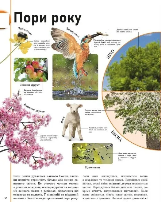 Книга "Энциклопедии DK: Энциклопедия обо всем. Наш мир в рисунках" (у) (7754) 12