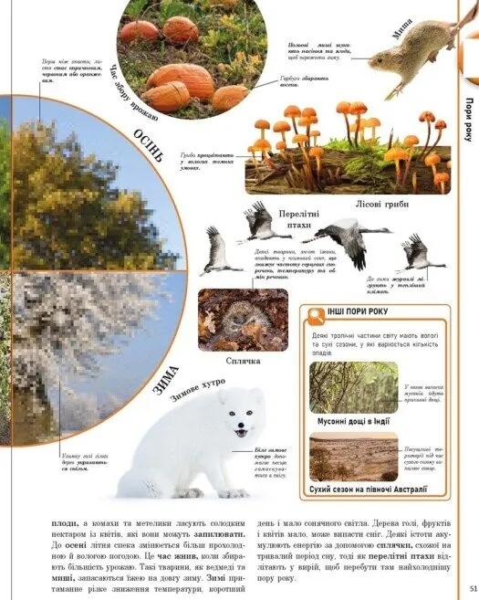 Книга "Энциклопедии DK: Энциклопедия обо всем. Наш мир в рисунках" (у) (7754) 20