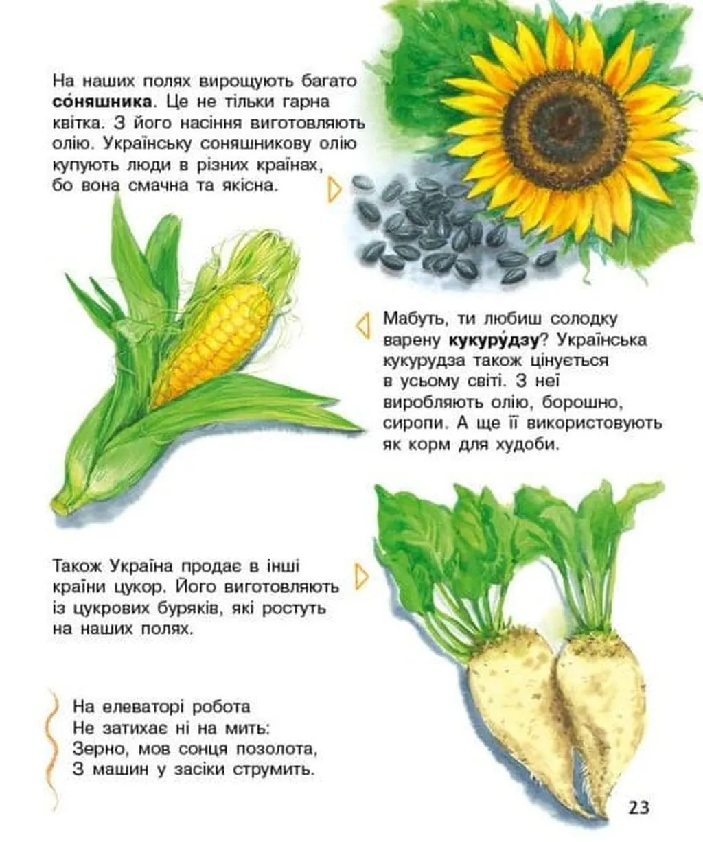 Книга "Энциклопедия дошкольника: Каспарова Ю. Украина" (у) (9948) 4