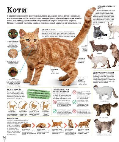 Книга "Энциклопедии DK: Дивипедия" (у) (2376) 3