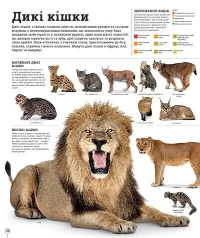 Книга "Энциклопедии DK: Дивипедия" (у) (2376) 5