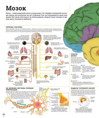 Книга "Энциклопедии DK: Дивипедия" (у) (2376) 6