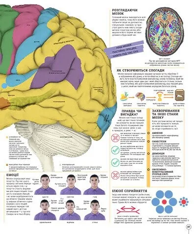 Книга "Энциклопедии DK: Дивипедия" (у) (2376) 10