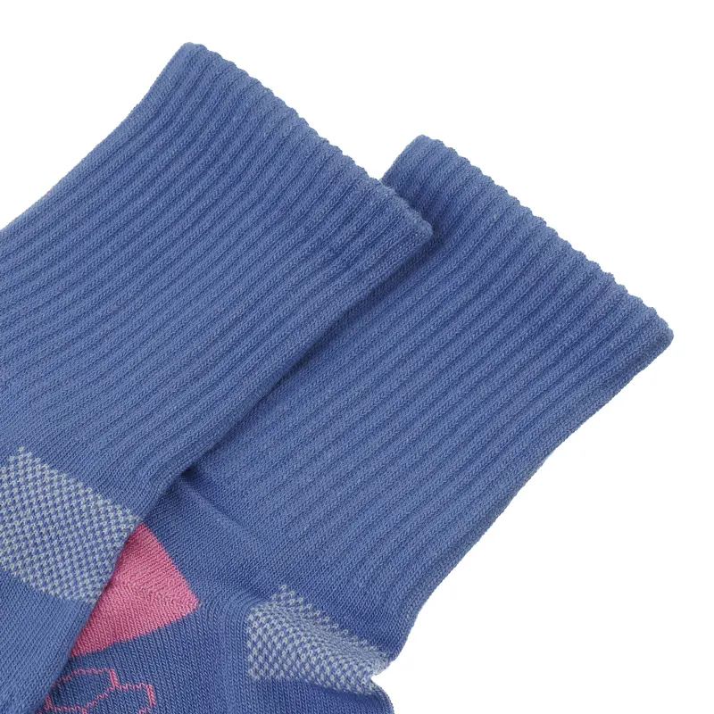 Носки "Allsport синие" р. 36-40 2