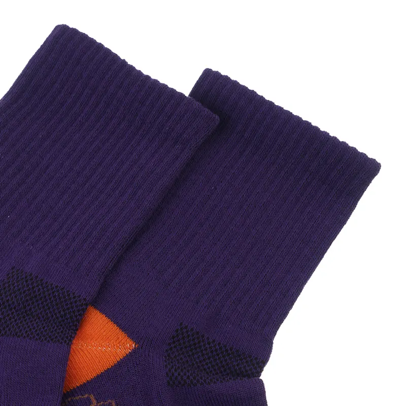 Носки "Allsport фиолетовые" р. 36-40 2