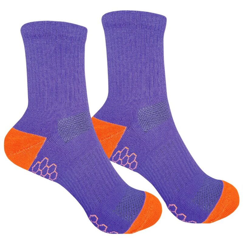 Носки "Allsport фиолетовые" р. 36-40