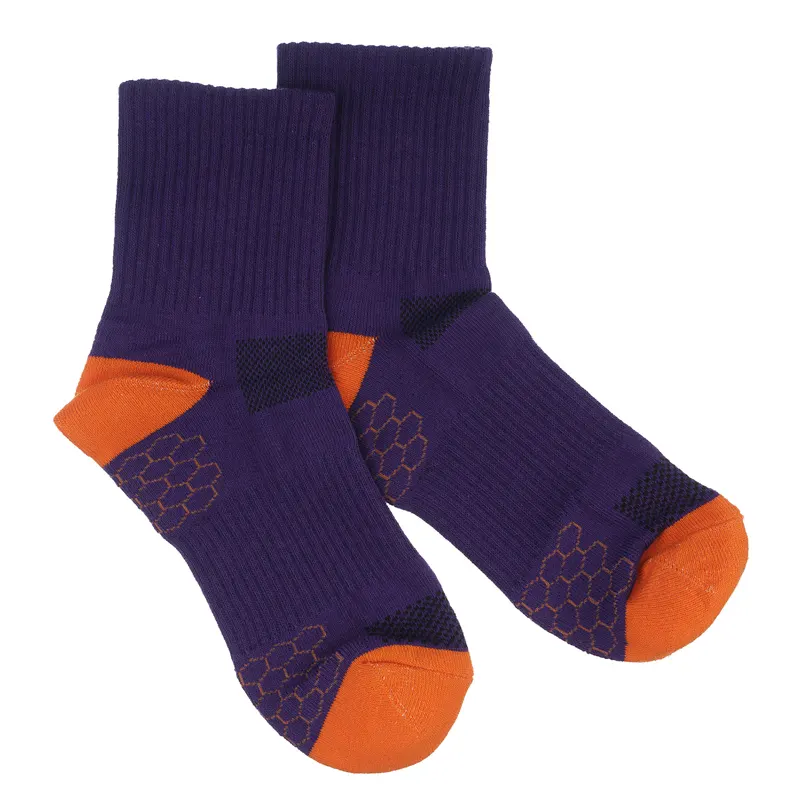 Шкарпетки  "Allsport фіолетові" р. 40-43 1