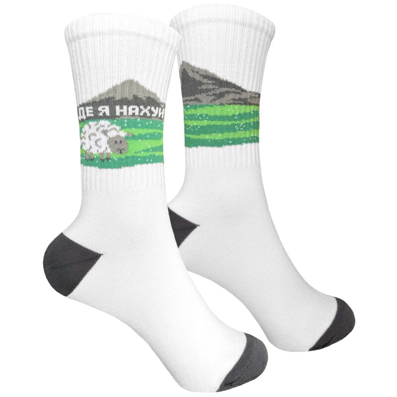 Шкарпетки  "Де я…" р. 41-45