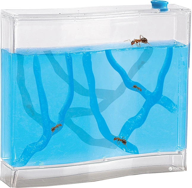 Ігровий набір для юного зоолога - Мурашина ферма, 25084S 2