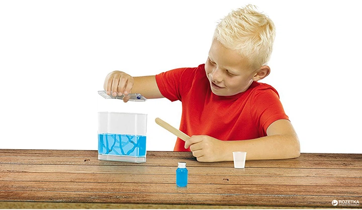 Ігровий набір для юного зоолога - Мурашина ферма, 25084S 3