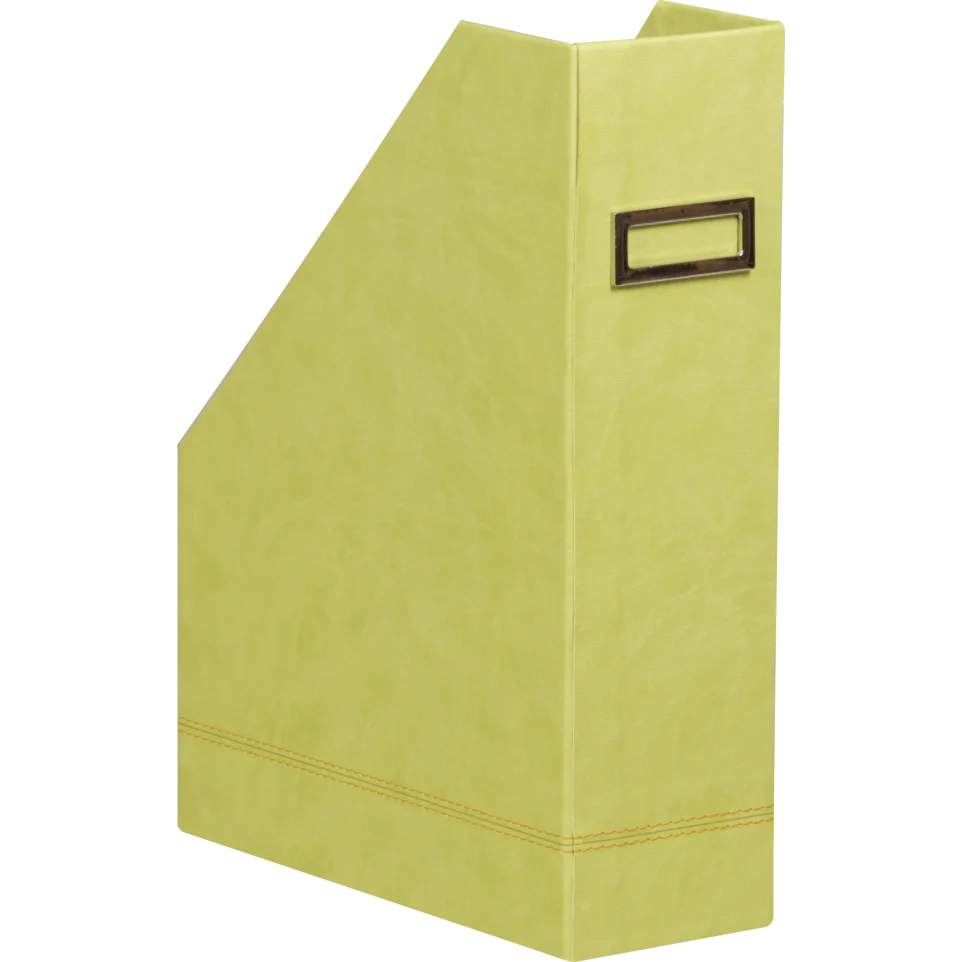 Лоток вертикальный Rhodiarama 10*25*31 см, обработка искусственной кожей, салатовый, 318836C