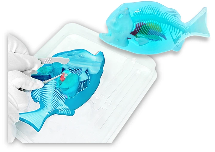 Розвиваючий набір Slimy Lab "Анатомія тварин - Піранья", 38072 2