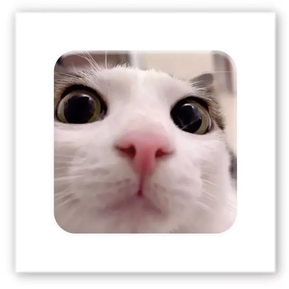 3D-стікер "Я все бачу"