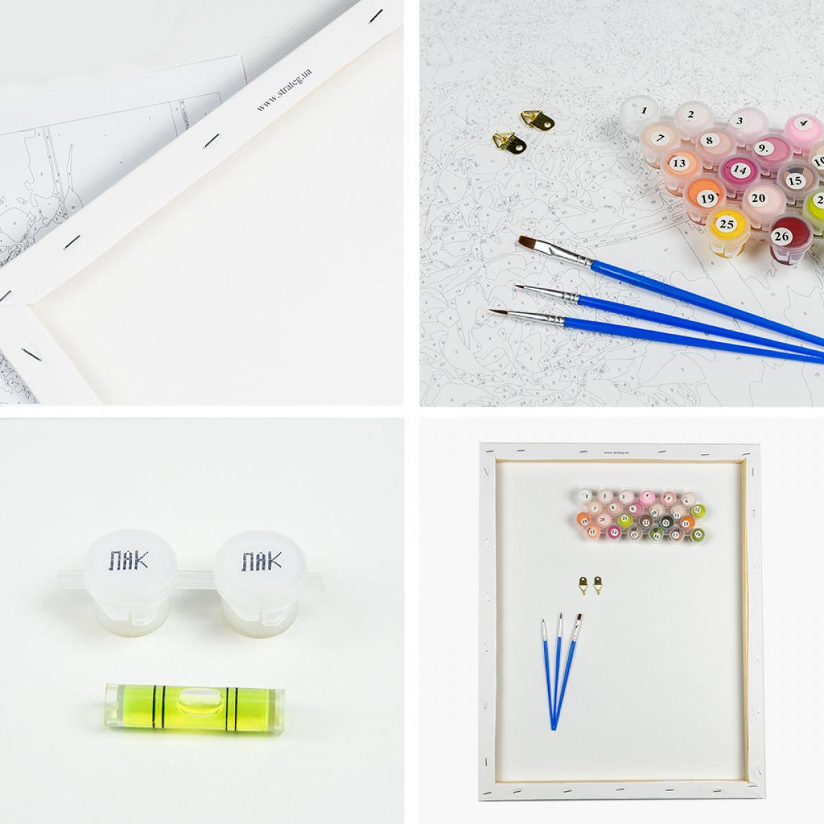 Картина по номерам 30*30 см "Ночная прогулка", ES008 ТМ "Strateg" 1