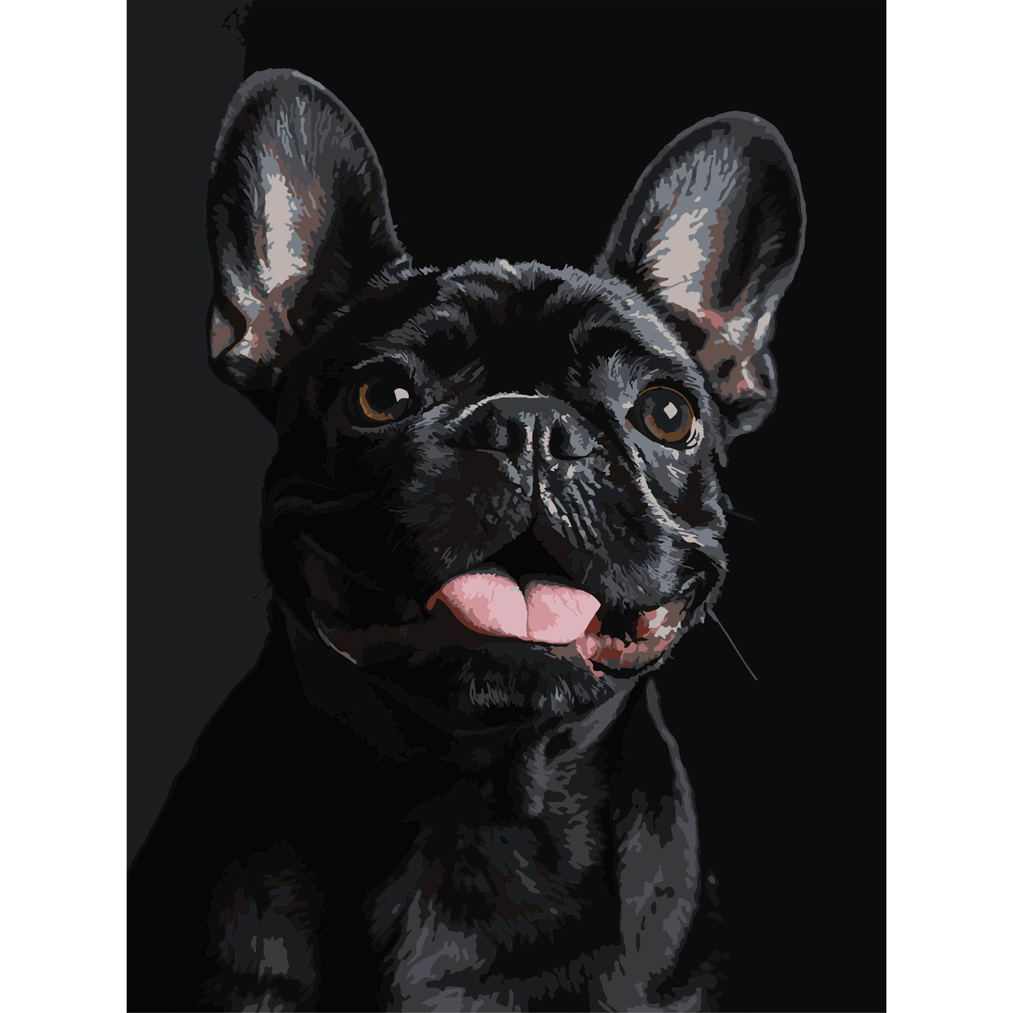 Картина по номерам 30*40 см "Французский черный бульдог" на черном фоне, FH-32 ТМ "Strateg"