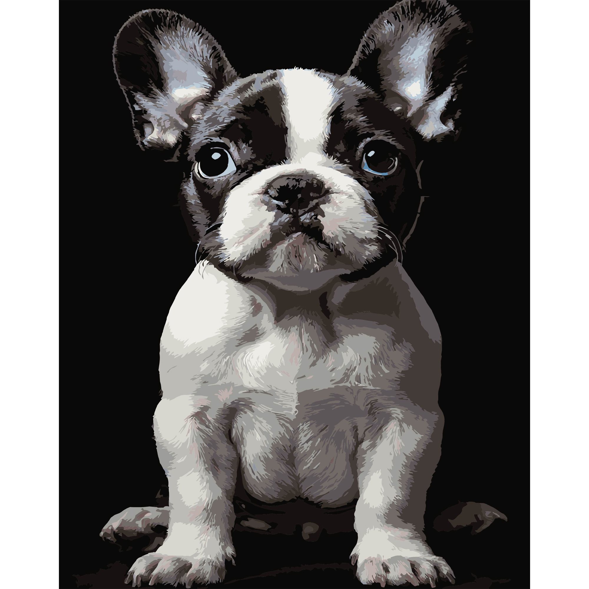 Картина по номерам 40*50 см "Маленькая собака" на черном фоне, AH1277 ТМ "Strateg"