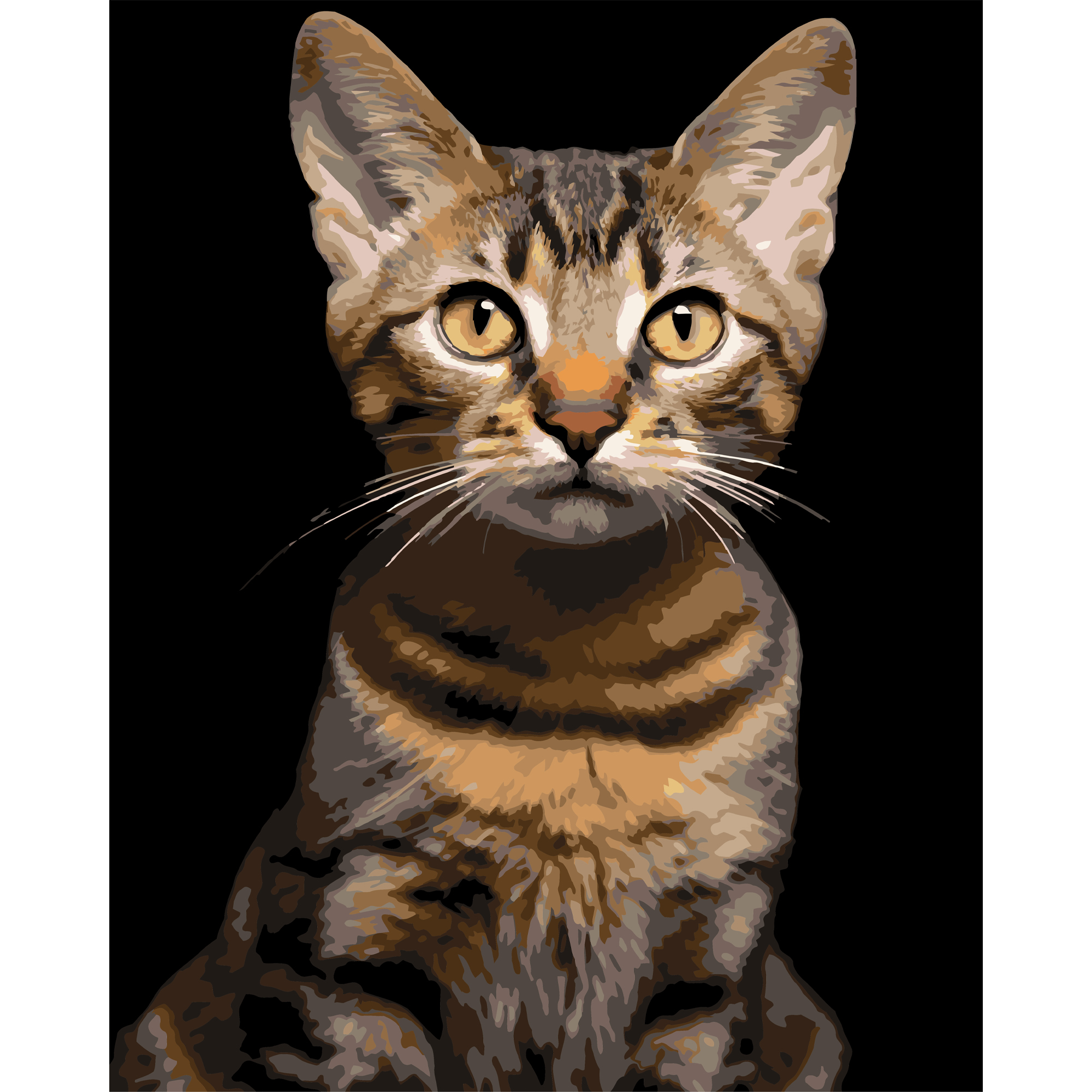 Картина за номерами 40*50 см "Смугастий кіт" на чорному фоні, AH1284 ТМ "Strateg"