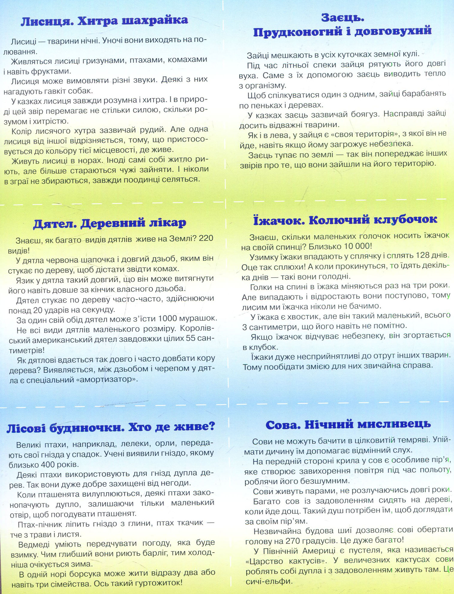 Книга "Гресь А. Лісовий Квест, або Як провести вихідний у лісі" (у) (4251) 9