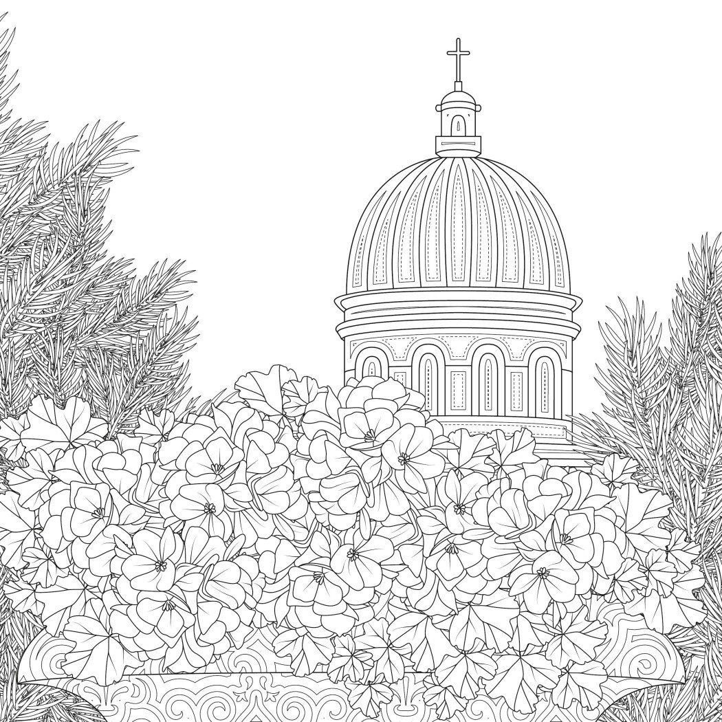 Книга для дозвілля. Сара Муціо. Міські джунглі (у) (7214) 1