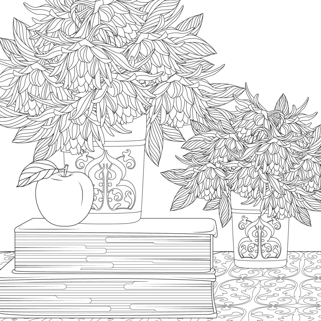 Книга для дозвілля. Сара Муціо. Міські джунглі (у) (7214) 2