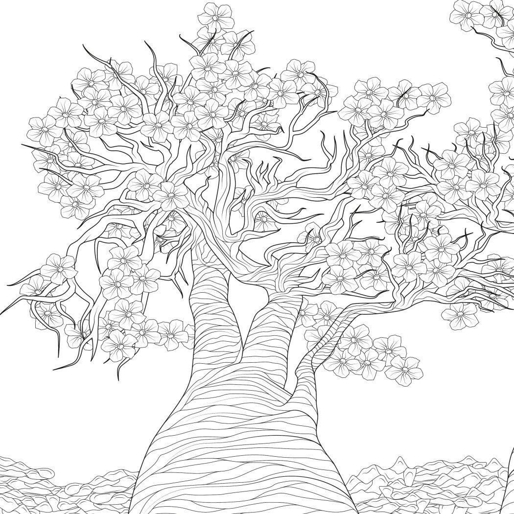 Книга для дозвілля. Сара Муціо. Розкішні дерева (у) (7191) 1