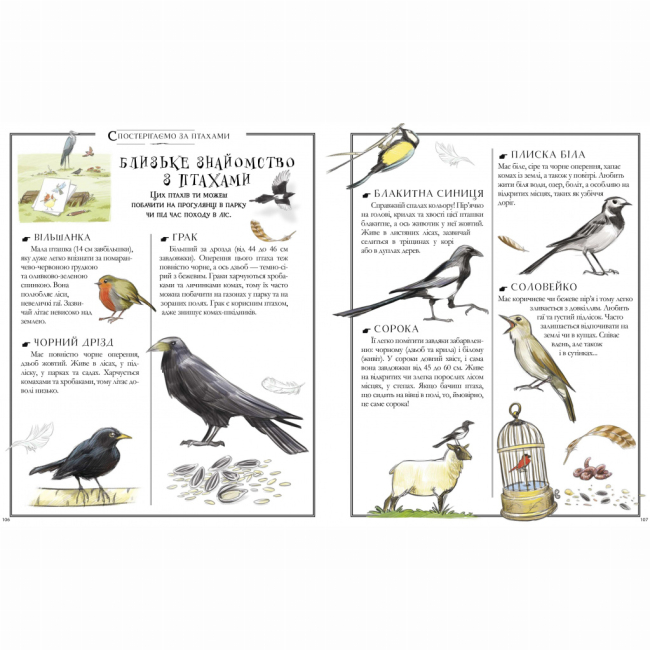 Книга "Лекрьо М., Ґалле С., Ру де Люз К. Boys’ Book. Підручник відважного мандрівника" (у) (3738) 5