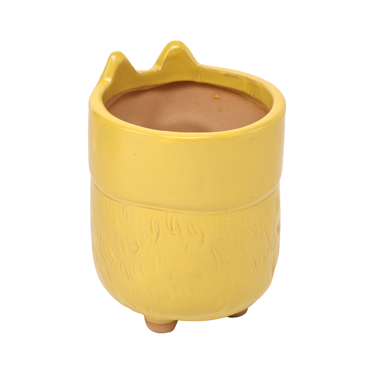 Кашпо "Желтая киса", d 6 см 1