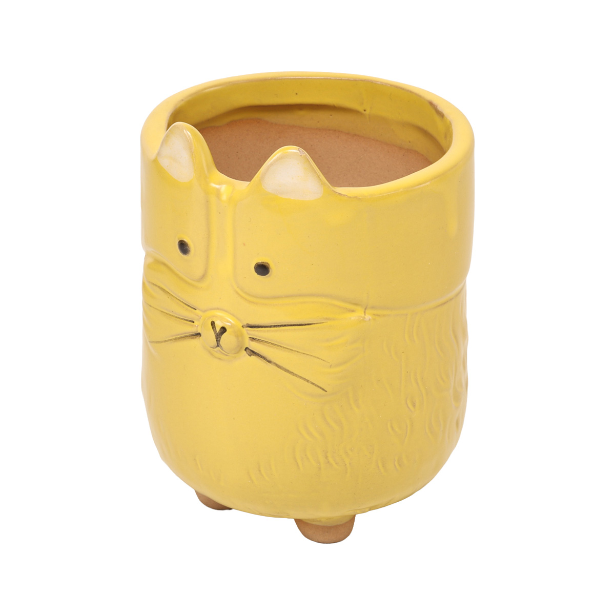 Кашпо "Желтая киса", d 6 см