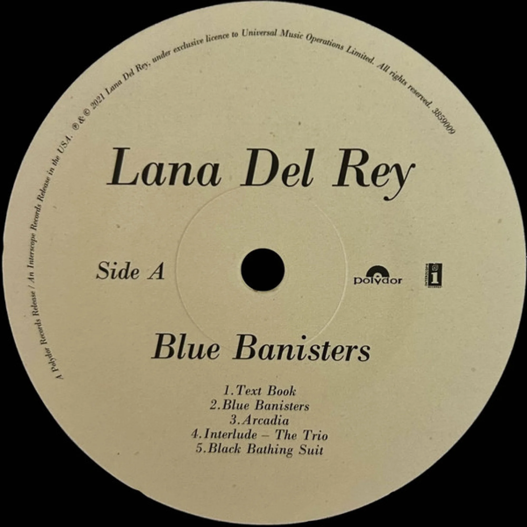 Вінілова платівка Lana Del Rey: Blue Banisters [2LP] 2