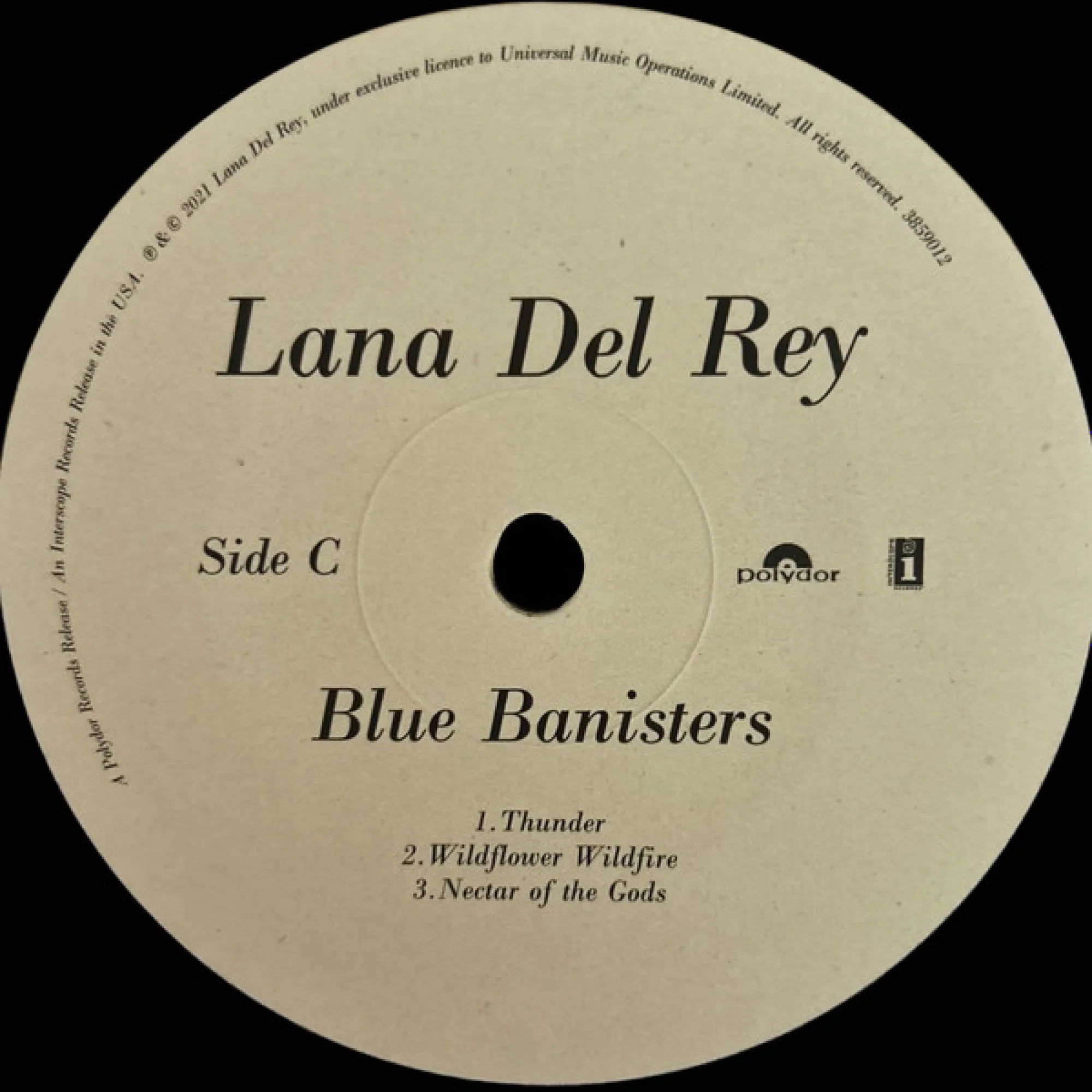Вінілова платівка Lana Del Rey: Blue Banisters [2LP] 4