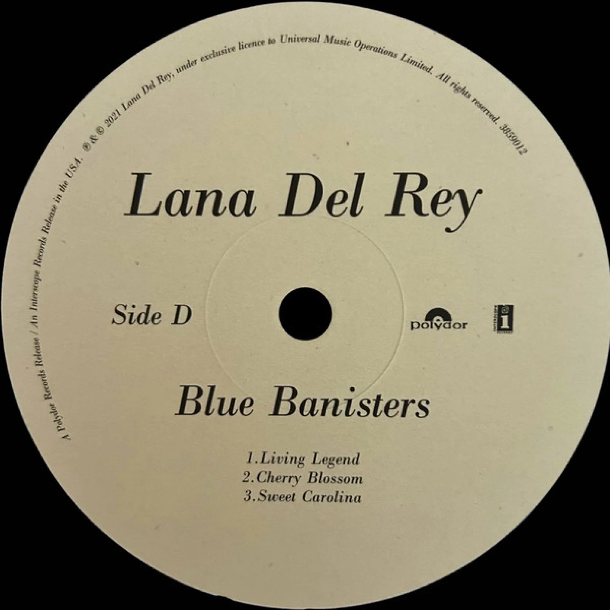 Вінілова платівка Lana Del Rey: Blue Banisters [2LP] 5