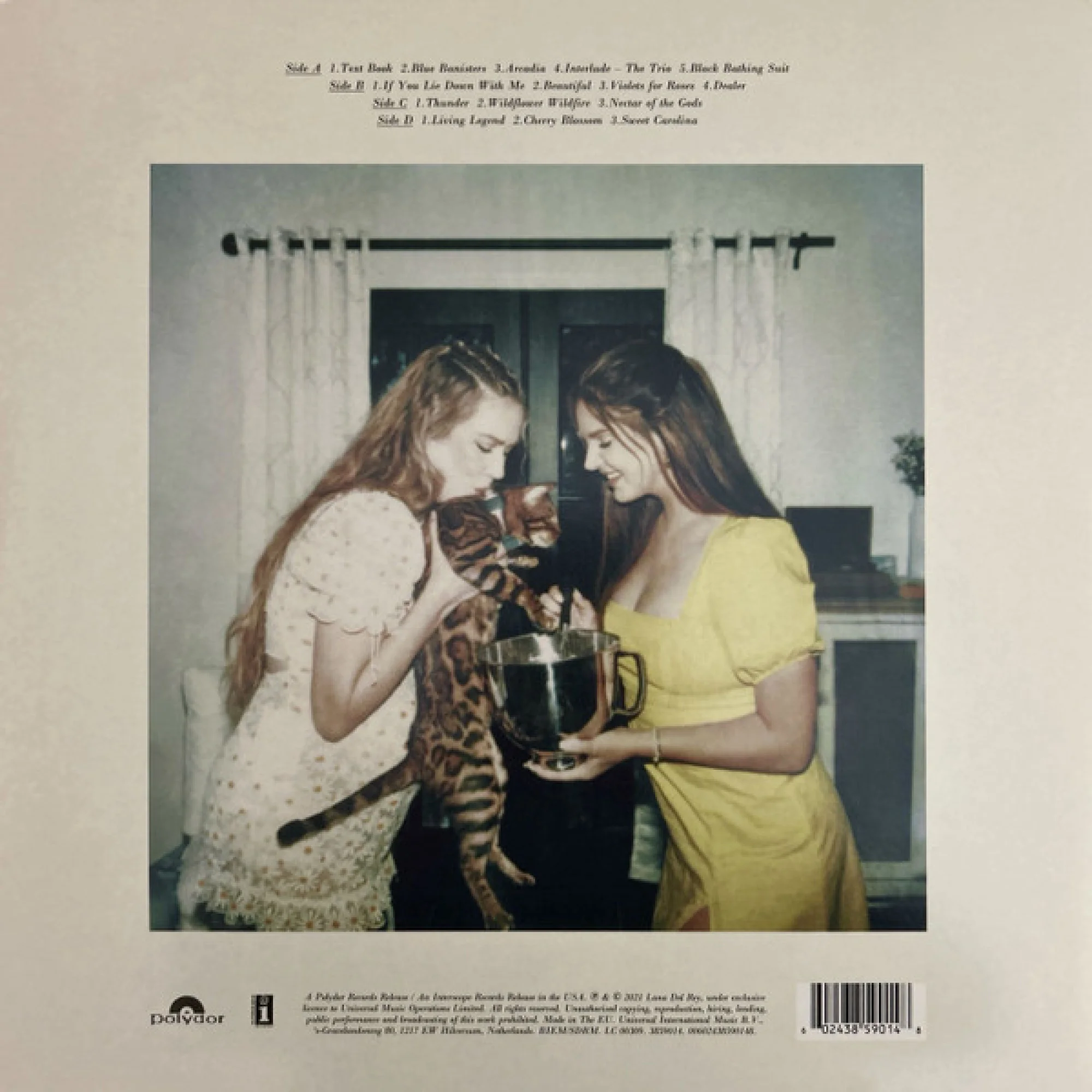 Вінілова платівка Lana Del Rey: Blue Banisters [2LP] 6