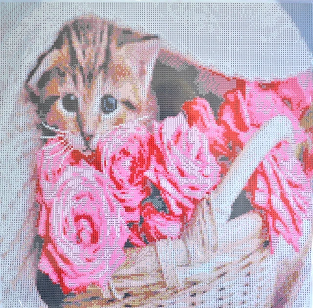 Набір з алмазною мозаїкою "Котик у кошику" 50*50 см, GA0012, ТМ "Strateg" 1