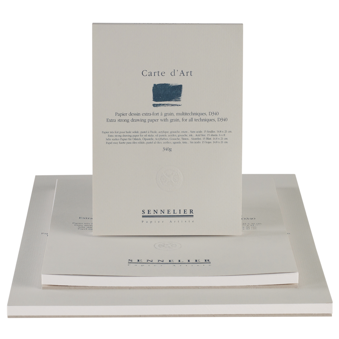 Альбом-склейка мультитехніка "Sennelier" Carte d’art, 15 арк., 340 г/м, 14,8*21 см, N136212 1