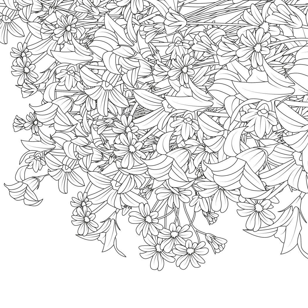 Книга для досуга. Сара Муцио. Цветущие сады (у) (7207) 1