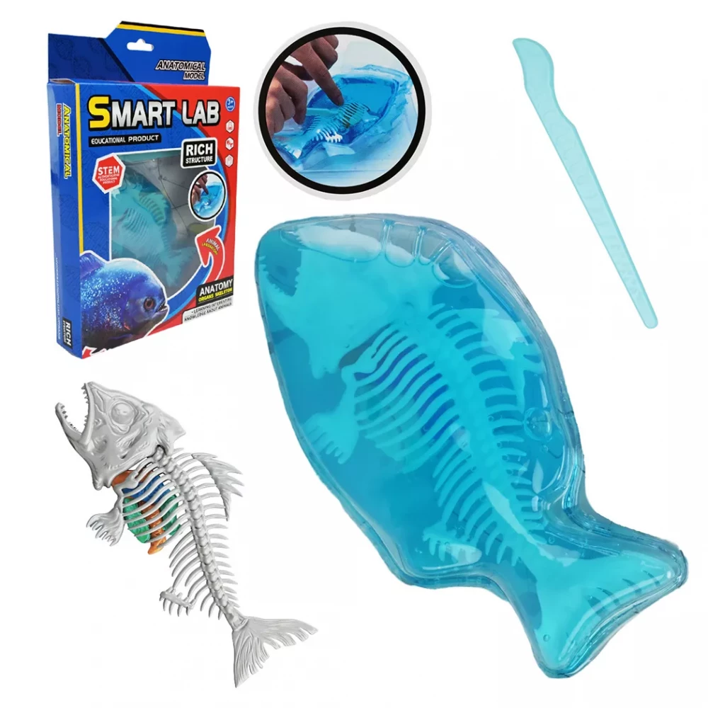 Лаборатонний набір "Акула" скелет, внутрішні органи, 802B