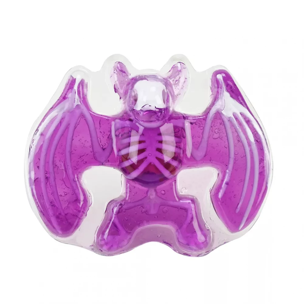 Лаборатонний набір "Кажан" скелет, внутрішні органи, 804B 2