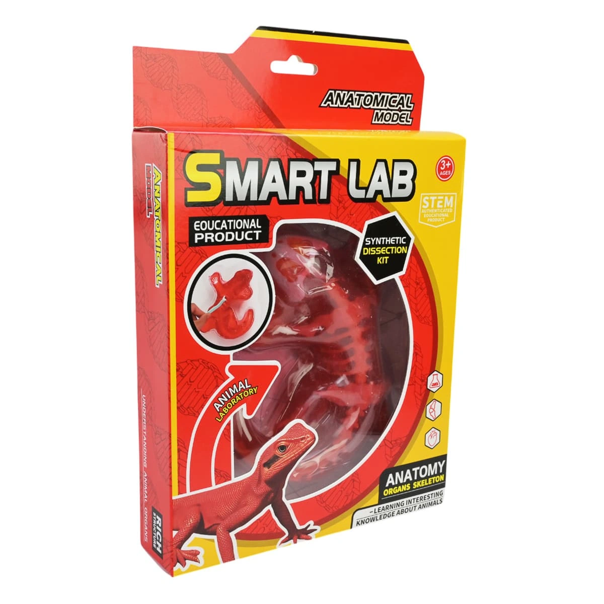 Лаборатонний набір "Ящірка" скелет, внутрішні органи, 803B 1