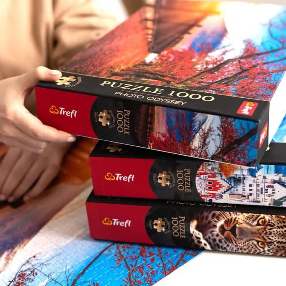 Пазлы "1000 Premium Plus" - Фото Одиссея: маленькая Венеция в Кольмаре, Trefl, 10816 4