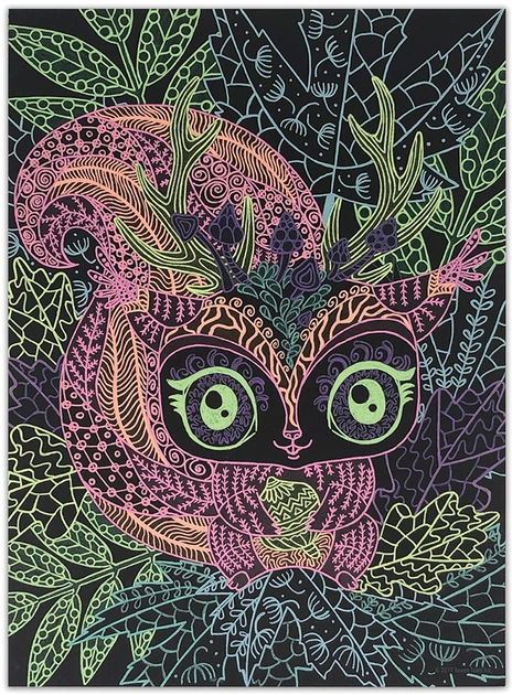 Набор для творчества Nebulous Stars - Раскраска: Коралия, черные листы, 11111 3