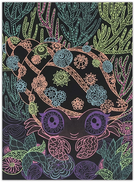 Набор для творчества Nebulous Stars - Раскраска: Коралия, черные листы, 11111 6