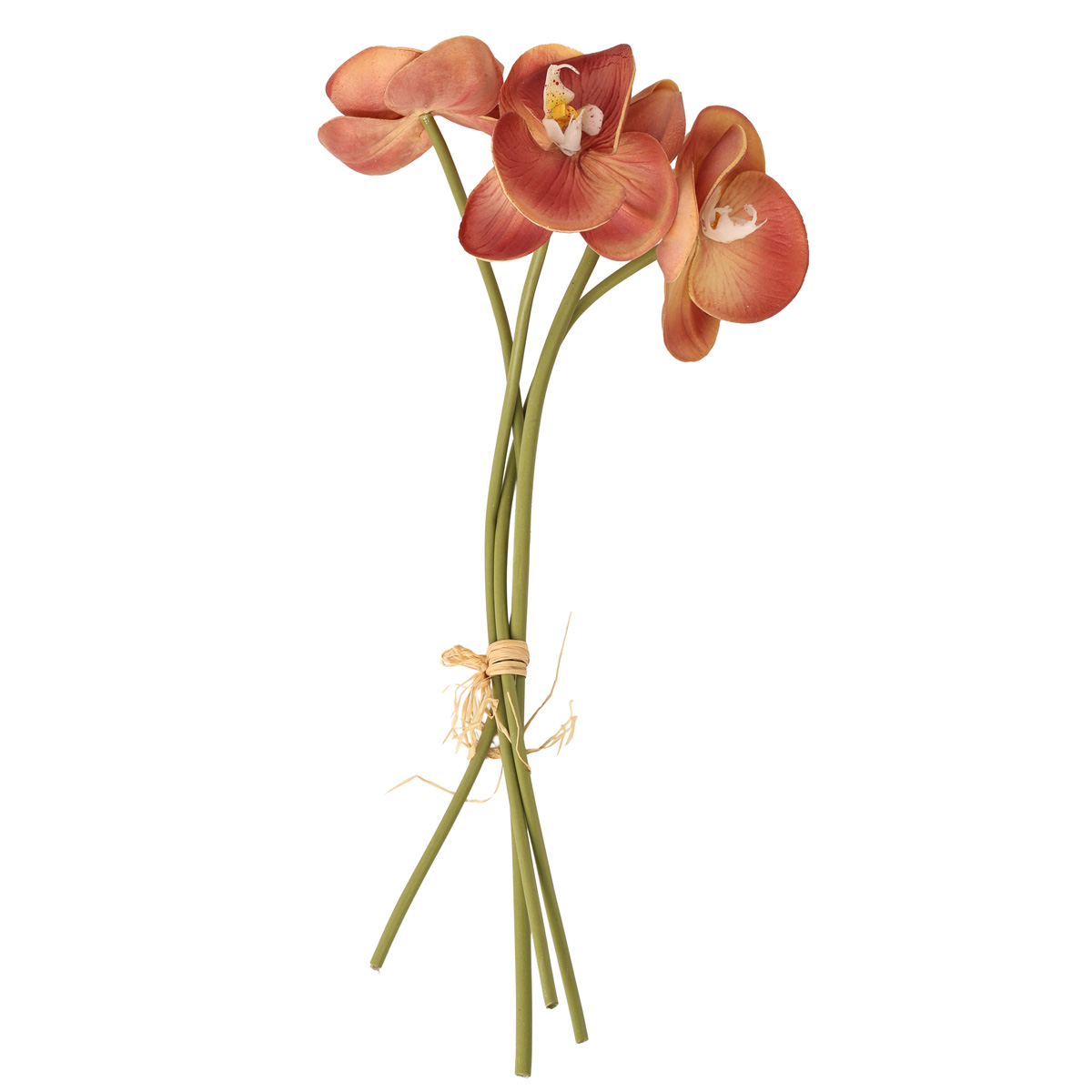 Цветы декоративные, 5-45921