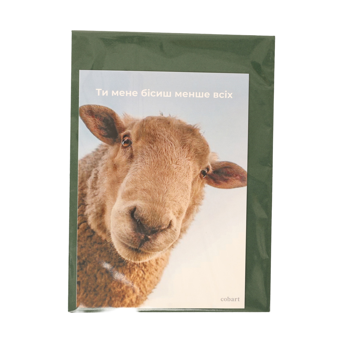Открытка с конвертом А6 "Овца", Cobart, СS-GС-025