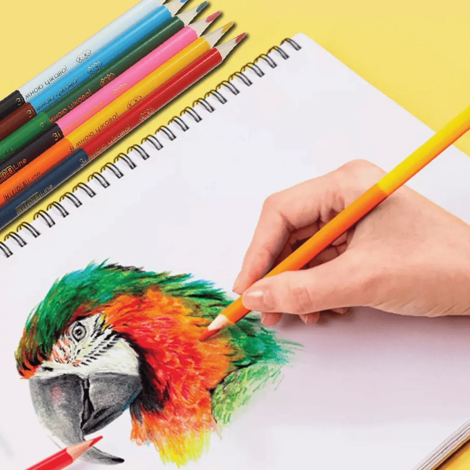 Олівці 12 кол., Kids Line Double , ZB.2462 1