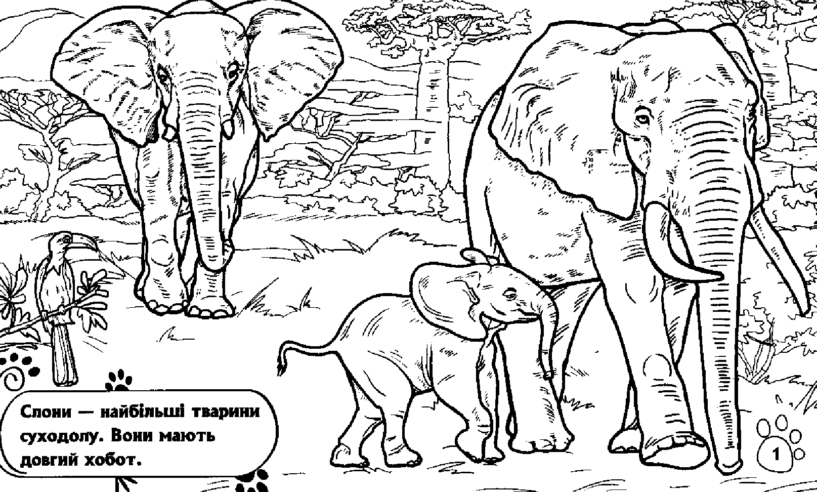 Розмальовка Тварини: В далеких країнах (у), 245567 2