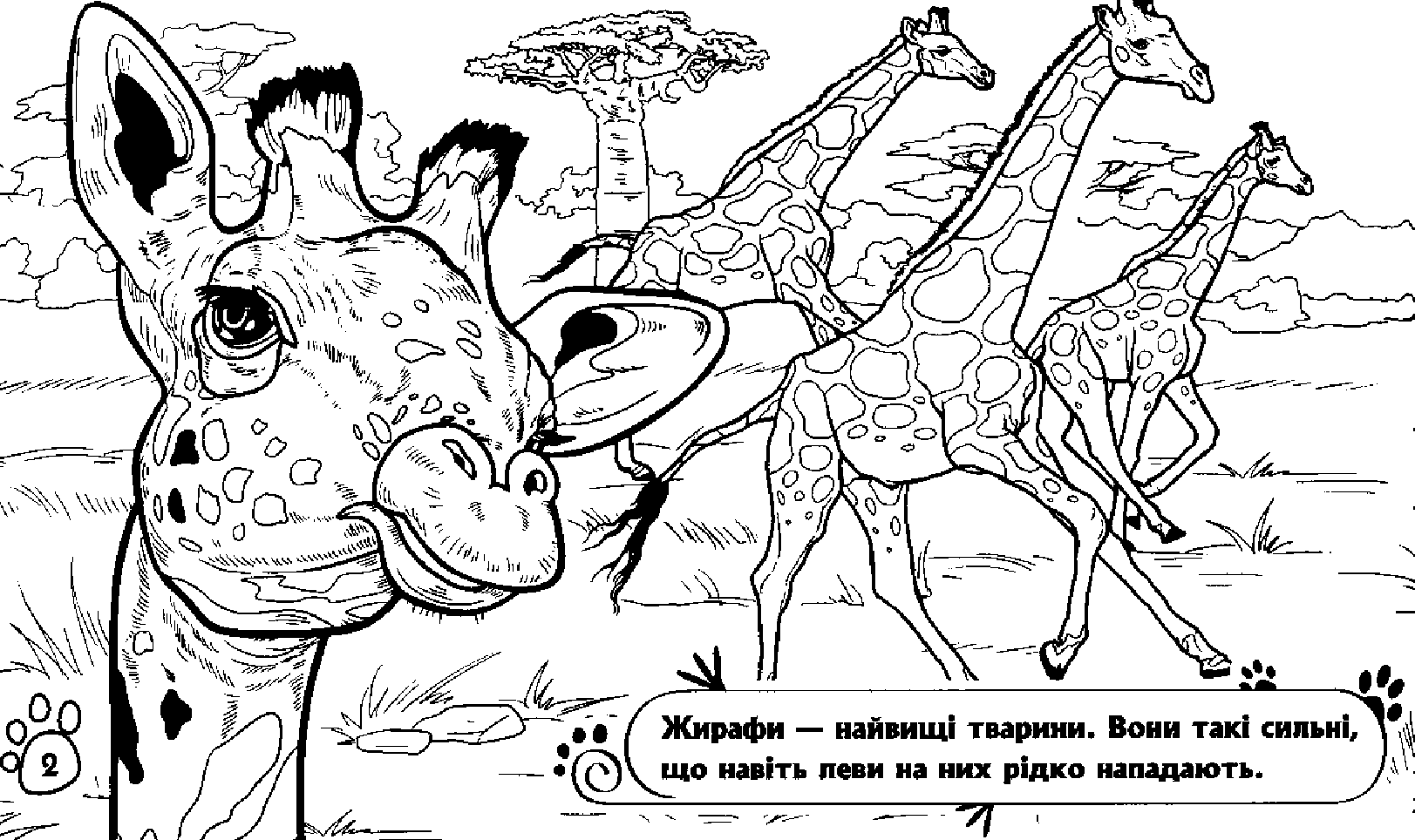 Розмальовка Тварини: В далеких країнах (у), 245567 3