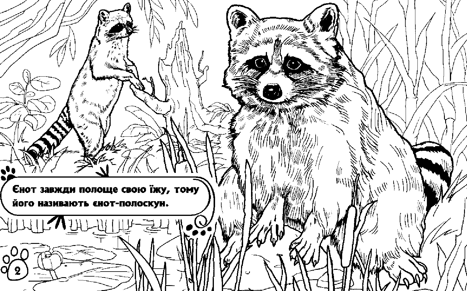 Розмальовка Тварини: У лісі (у), 245570 3