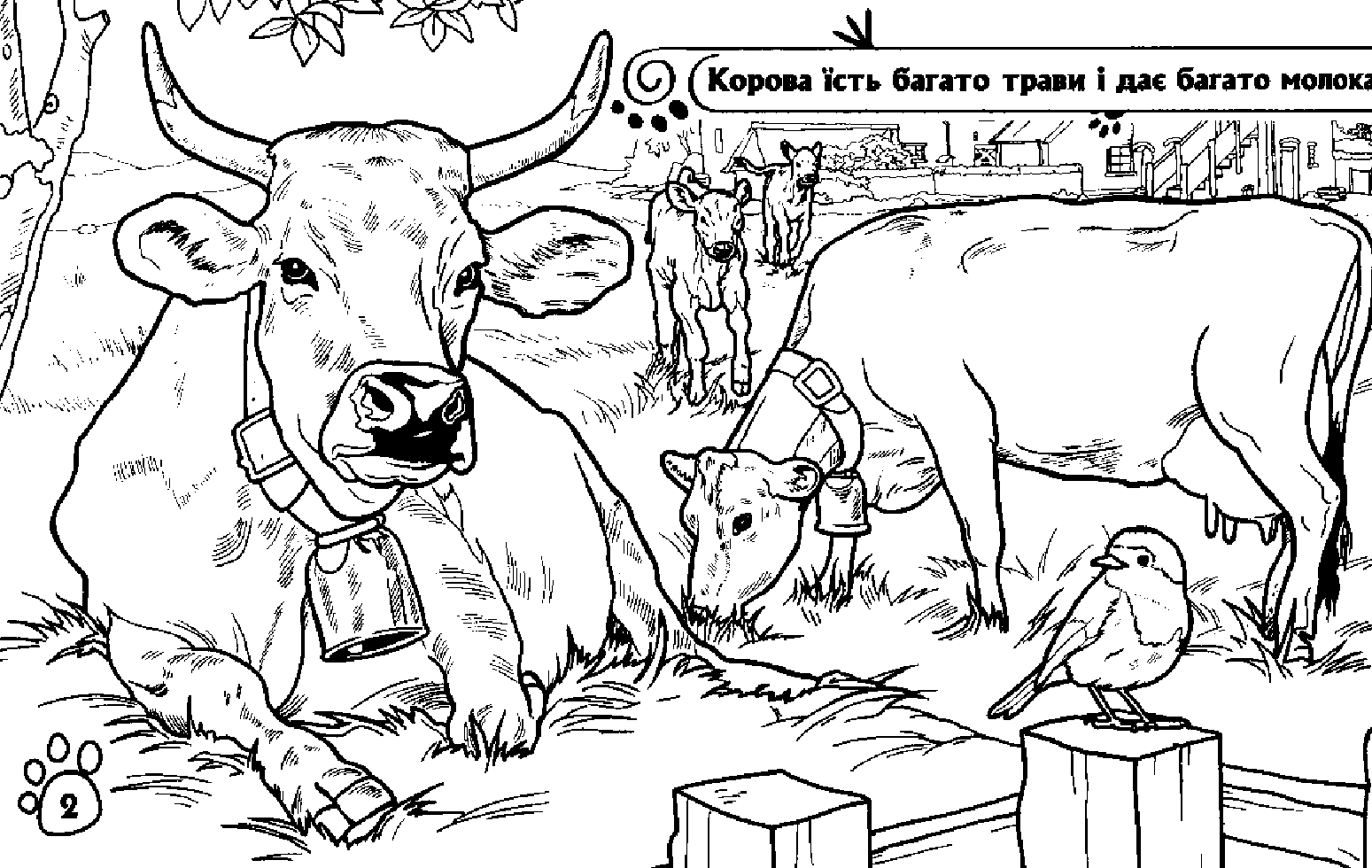 Розмальовка Тварини: На фермі (у), 245569 3